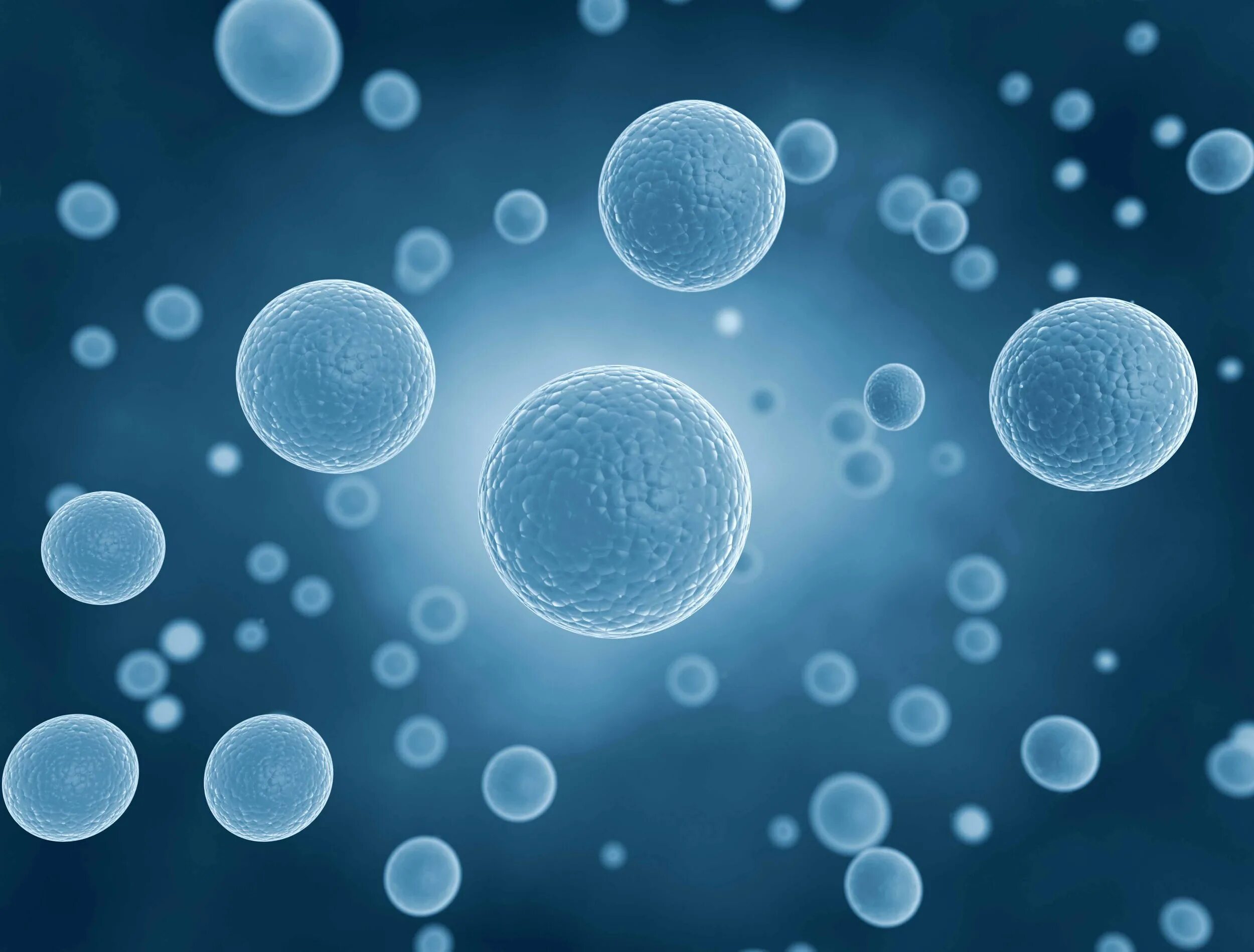 Cell image. Cells. стволовые клетки смешарики. stem cells. microencapsulation microscope.