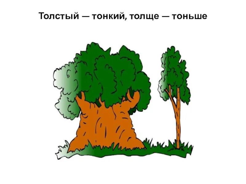 Толстый и тонкий. Толстый и тонкий для детей. Толстый тонкий для детей дерево. Вдвое толще