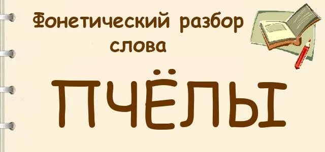 Пчелы 1 разбор. Фонетический разбор слова пчёлы. Пчелы фонетический разбор. Фонетический разбор слова пчёлы пчёлы. Фонытический разбор слова пчёлы.