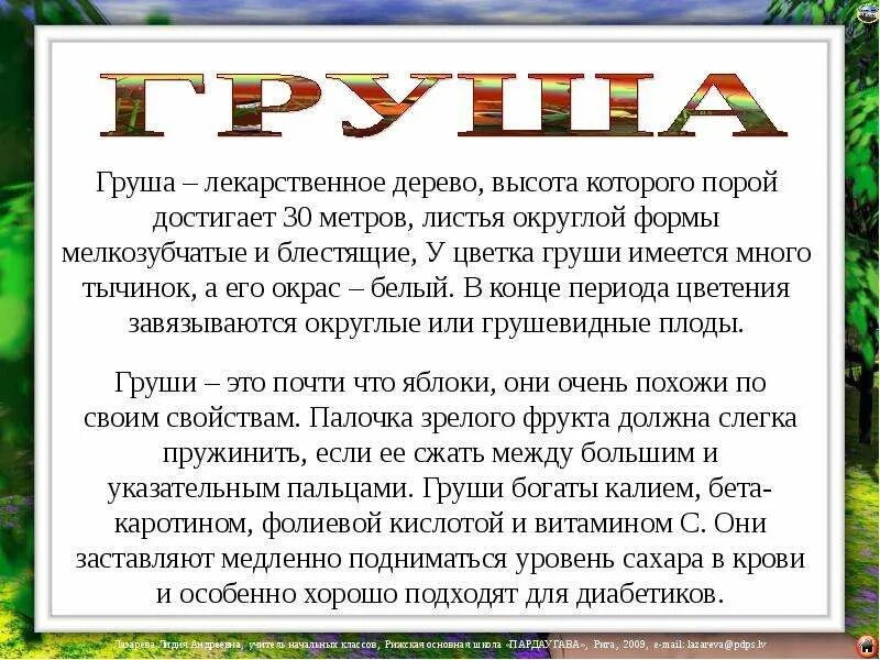 Груша доклад. Груша описание для детей. Витамины в груше и яблоке. Груша краткое описание. Рассказ о груше.
