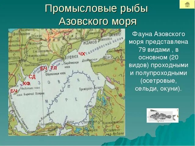 Установите соответствие объем азовского моря. Азовское море на карте. географическое положение азовского моря. крайние точки азовского моря. ширина азовского моря.