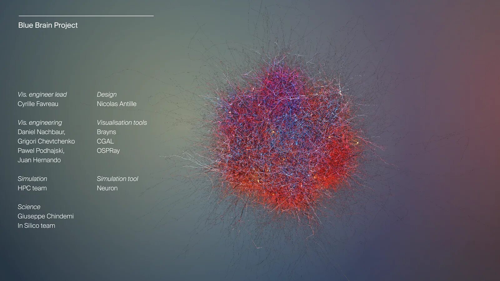 Brain project. Проект голубой мозг. Игра Brain Project. Scientific visualization. Dataset картинка.