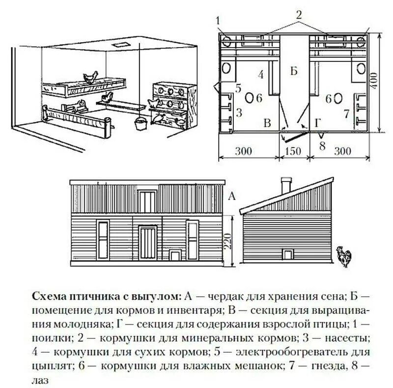 Размер курятника на 10 кур несушек. Проект курятника на 50 кур с размерами чертежи. План постройки курятника на 50 кур. Птичник для кур несушек схема. Зимний курятник на 50 кур чертежи.