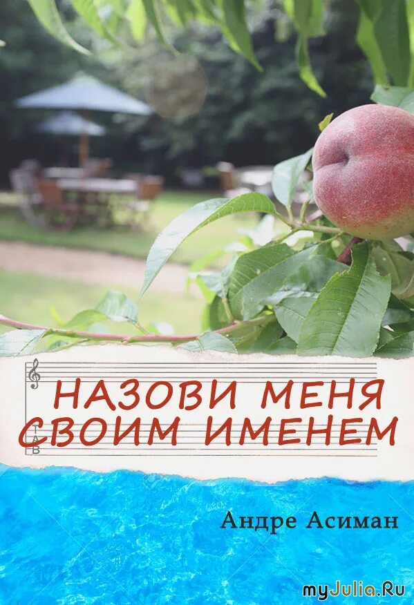 Андре асиман назови меня. Назови меня своим именем книга. Андре Асиман назови меня своим именем. Назови меня своим именем книга Андре Асиман. Назови меня своим именем книга обложка.