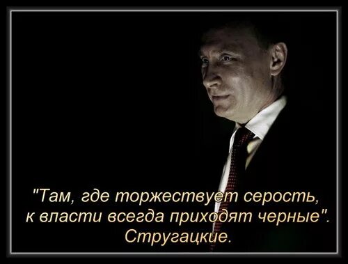 всегда говори правду. говори правду фото. афоризмы про ясность. правда всегда торжествует. там где торжествует серость к власти всегда.