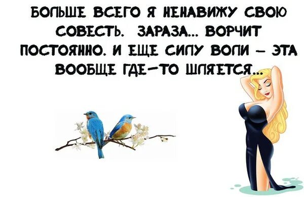 Студия грек е 100 на все 100. Больше заразы. Парни вич плюс. Статистика спида в мире. Медицинские приколы в картинках.