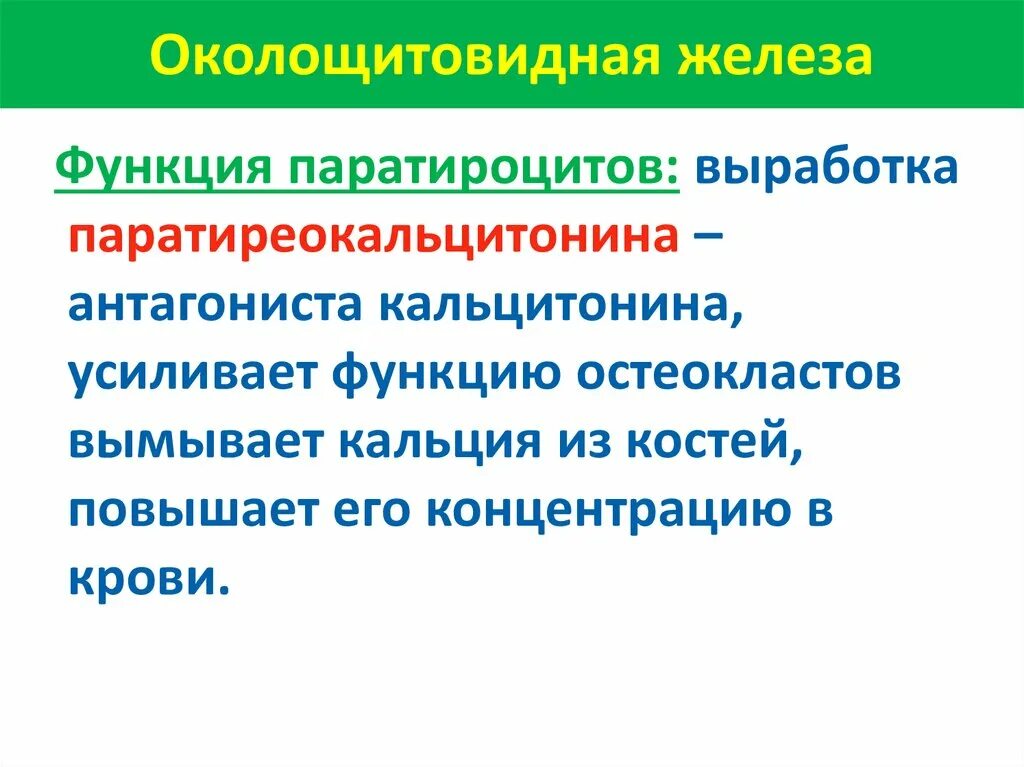 Перечислите функции железа. Околощитовидная железа функции. Паращитовидная железа функции. Около щетовидная железа функции. Функция около щитовидной жеоезы.