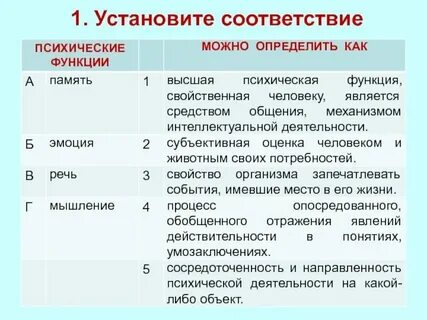 Определение высших психических функций