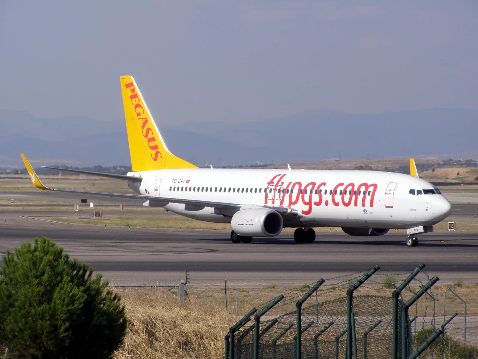 Боинг 737 Пегасус. Пегасус Аирлинес. Боинг 737-800 Pegasus Airlines. Пегасус Аирлинес Boeing 737-800.