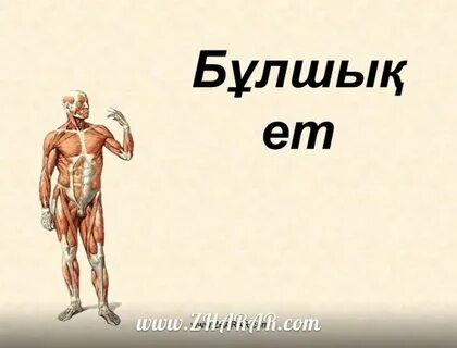 Сексуалды мулатпен порно