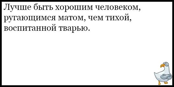 Лучше ругаться матом чем быть тихой воспитанной. Лучше быть хорошим человеком ругающимся матом чем тихой воспитанной. Лучше быть хорошим человеком ругающимся матом чем. Лучшем быть человеком ругающимся матом чем. Лучше быть человеком ругающимся.