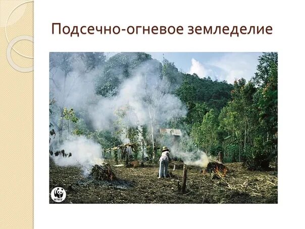 Подсечно-огневая система земледелия это. Подсечно-огневая система земледелия это. Подсечно огневое земледелие последовательность. Подсечно-огневая система земледелия это. Занятия славян земледелие подсечно огневое.