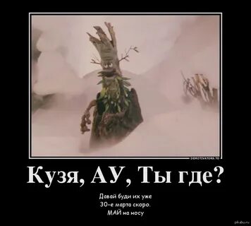 Давай буди