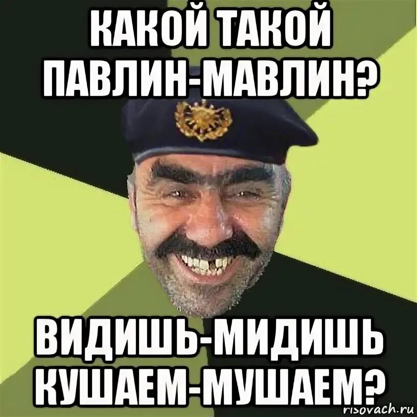 Какой такой павлин мавлин. Павлин мавлин не видишь мы кушаем. павлин мавлин мы кушаем.