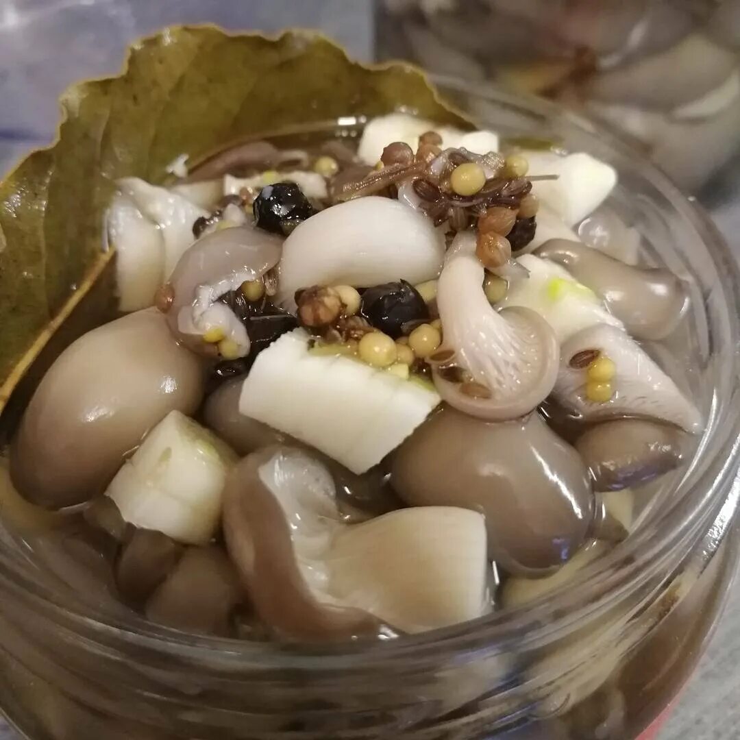 Как вкусно замариновать грибы вешенки. Маринованные грибочки вешенки. грибы вешенки маринованные быстрого приготовления. маринованные вешенки в домашних. вёшенки маринованные быстрого.