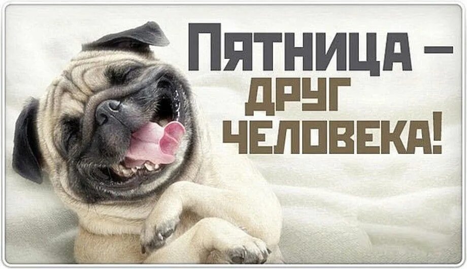 НАПУТСТВИЕ В НОВЫЙ ДЕНЬ! - Просто ДОБРОЕ УТРО , пользователь Людмила Феденюк Гру