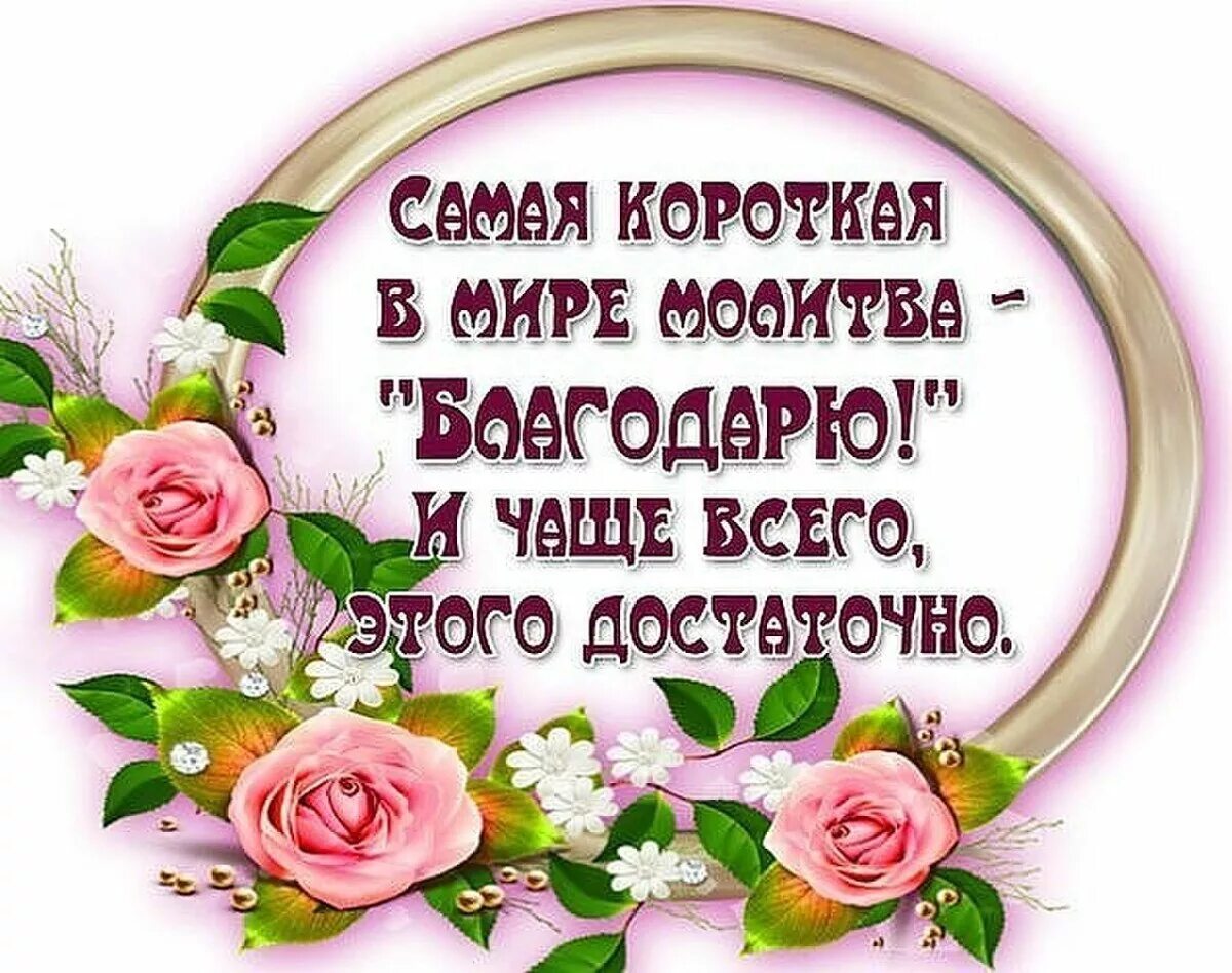 Благодарность доброму человеку. Благодарность цитаты. высказывания о благодарности. добрые пожелания родным и близким. красивые высказывания благодарности.