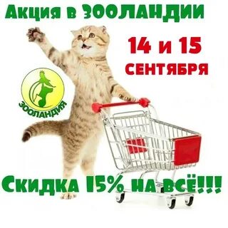 Сайт зооландия мурманск