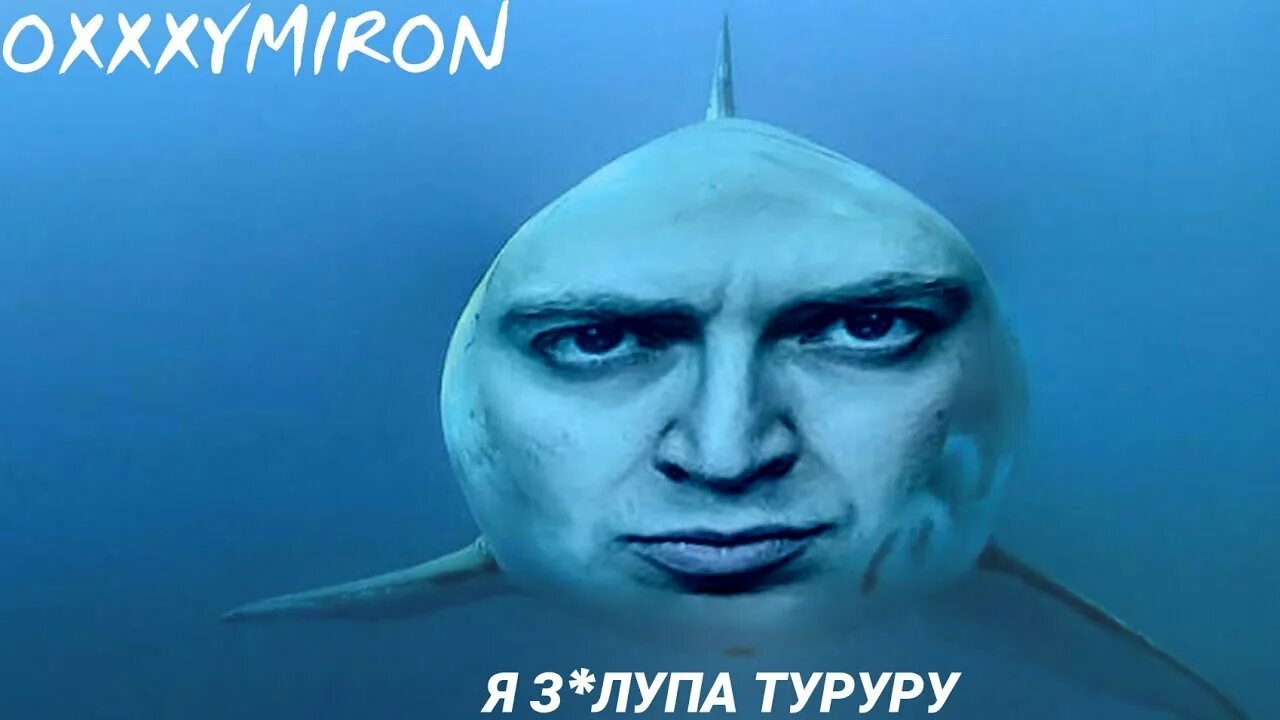 Тут туруру тут туру тут. Оксимирон акула. я акула туруру.