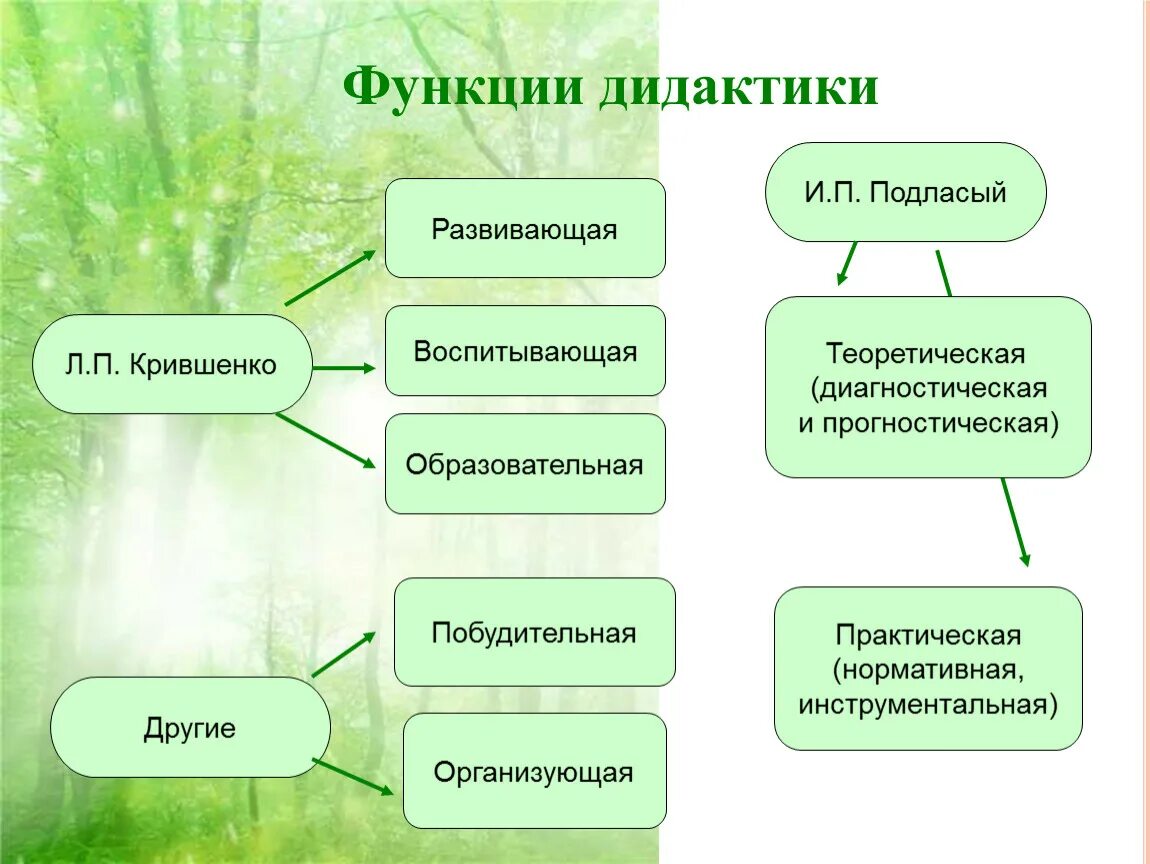 Сущность функции образования. Функции дидактики. Основные функции дидактики. Дидактика это в педагогике. Функции дидактики в педагогике.