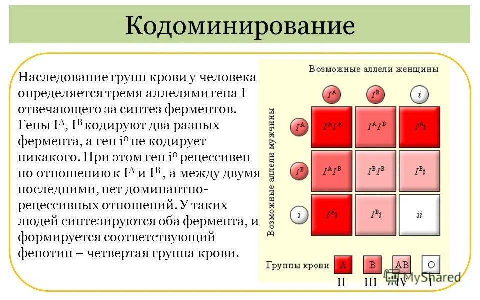 Скрещивание групп крови родителей. Наследование 4 группы крови.