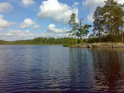 Полянское ленинградская область