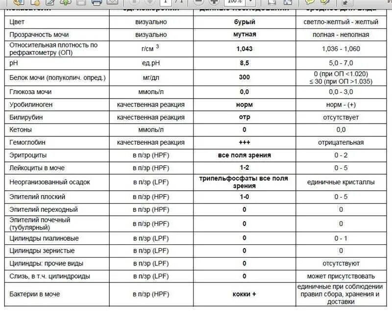 Белок в моче при беременности что значит. Анализ мочи при беременности расшифровка плоский эпителий. Эпителий плоский в моче норма. Клетки эпителия в моче норма. Эпителиальные клетки в моче норма у женщин при беременности таблица.