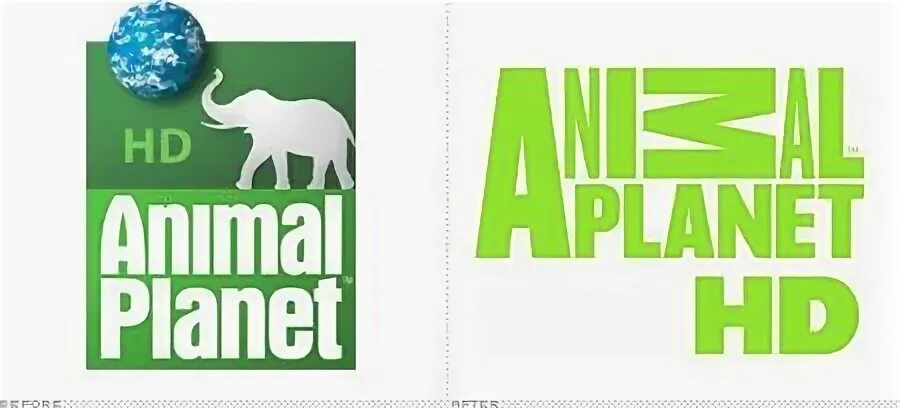 Анимал планет эфир. Канал анимал планет. Телеканал animal planet. Доктор ди animal planet. Animal planet программа.