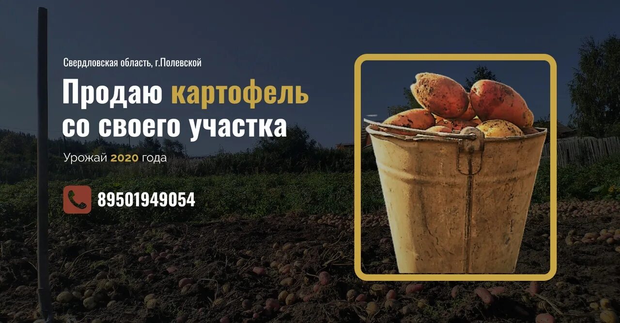 Барахолка полевской свежие. Барахолка полевской объявления. Барахолка полевской свежие. Барахолка полевской свежие. Барахолка полевской свежие.