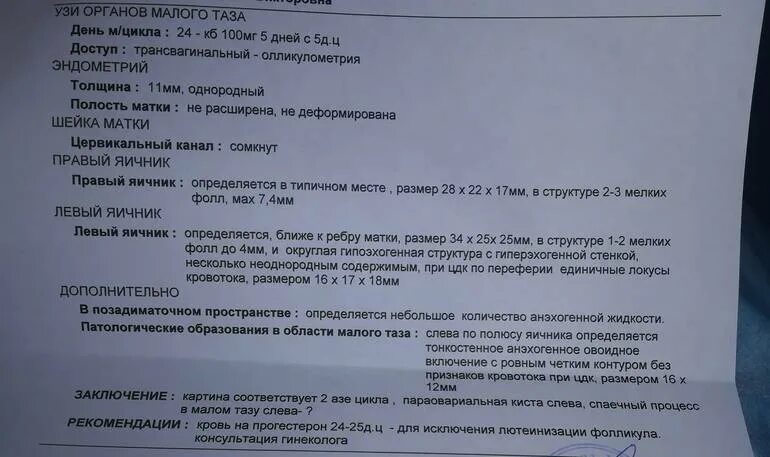 Узи день цикла. Ультразвуковое исследование органов малого таза. УЗИ малого таза УЗИ малого таза. УЗИ органов малого таза у женщин. УЗИ органов малого таза беременность.