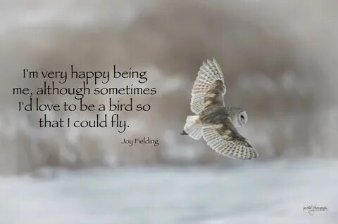 The birds are happy
