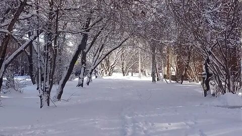 Погода в зиме иркутская область на 10