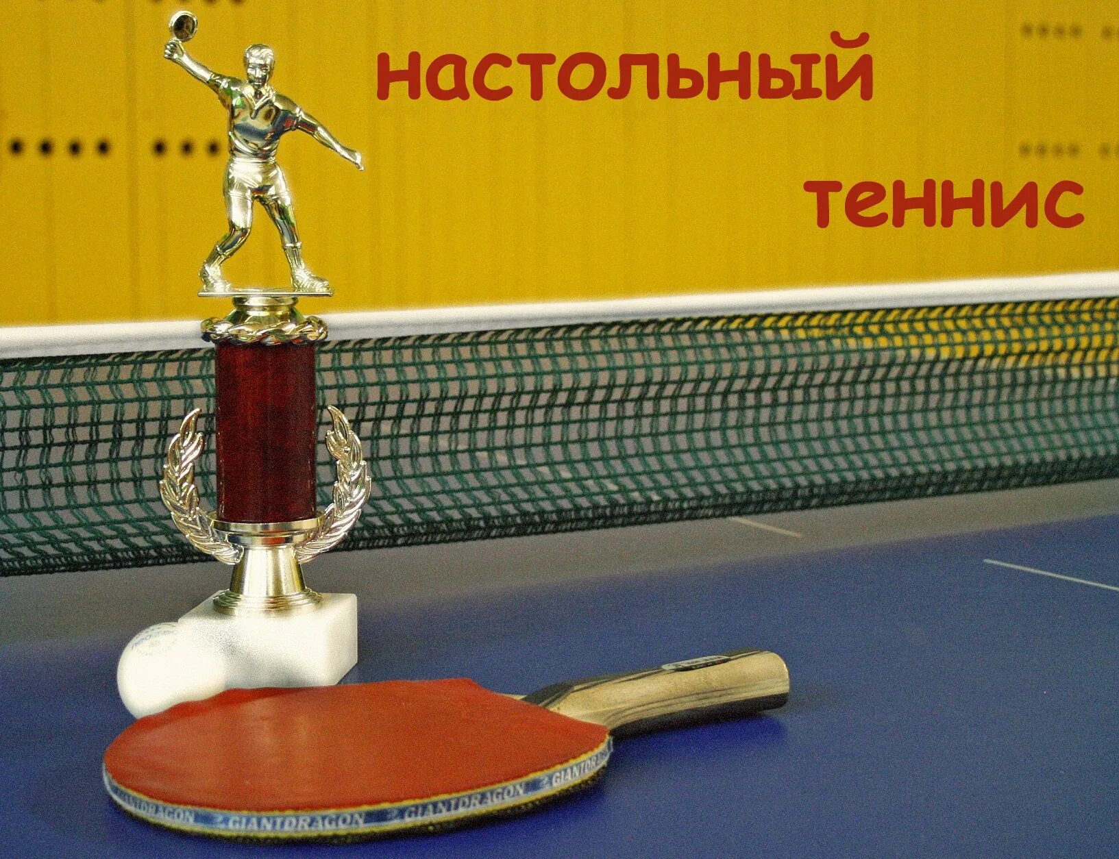 Открытки с днем настольного тенниса. Открытки с днем настольного тенниса. Всемирный день настольного тенниса. Открытка тренеру по настольному теннису. Всемирный день настольного тенниса открытки.