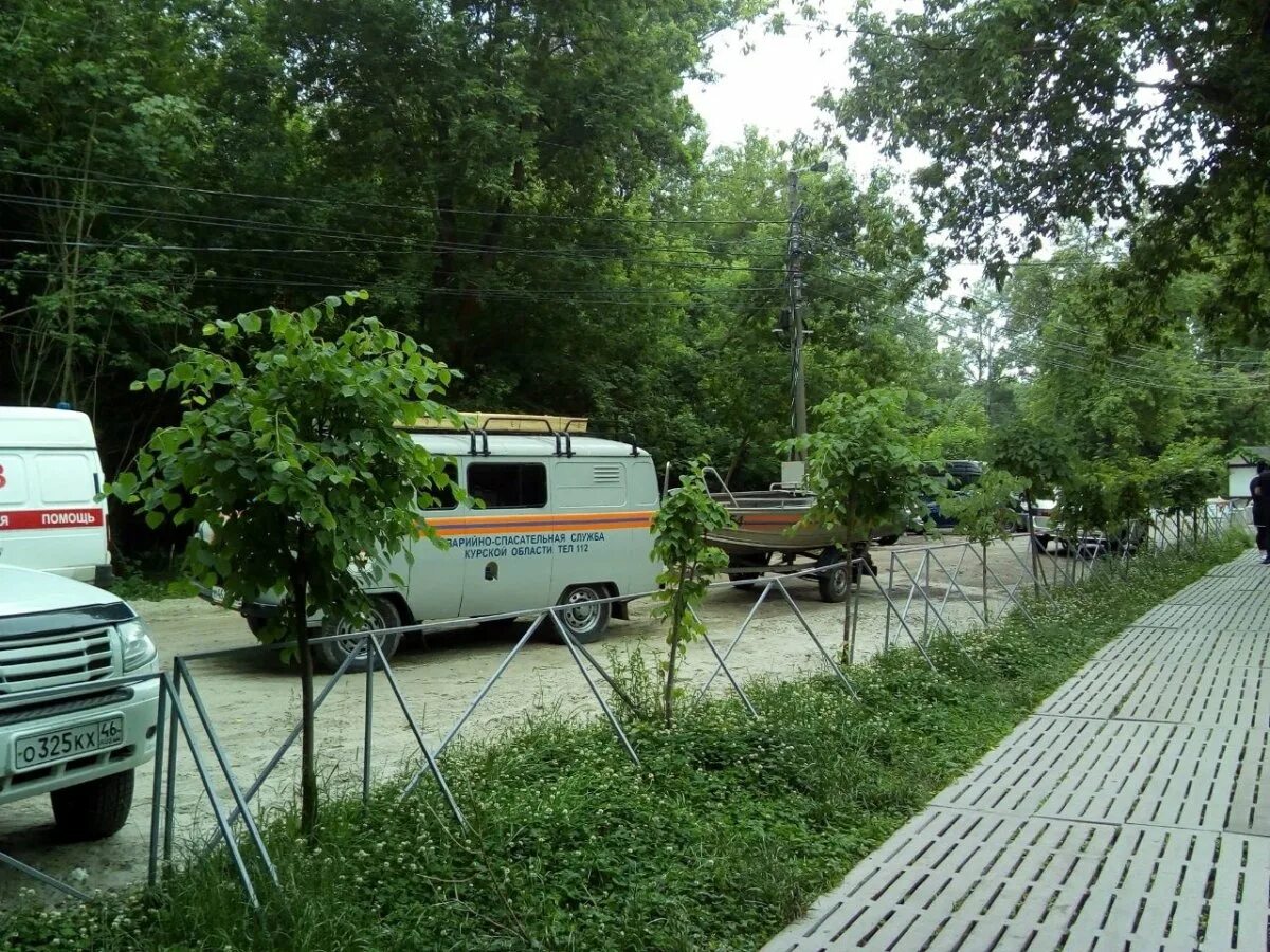 Пикник парк новая боевка. Парк боевка Курск. Пикник парк боевка Курск. Курск пикник-парк новая боевка новая боевка. Курск боевка парк новая пикник в день.