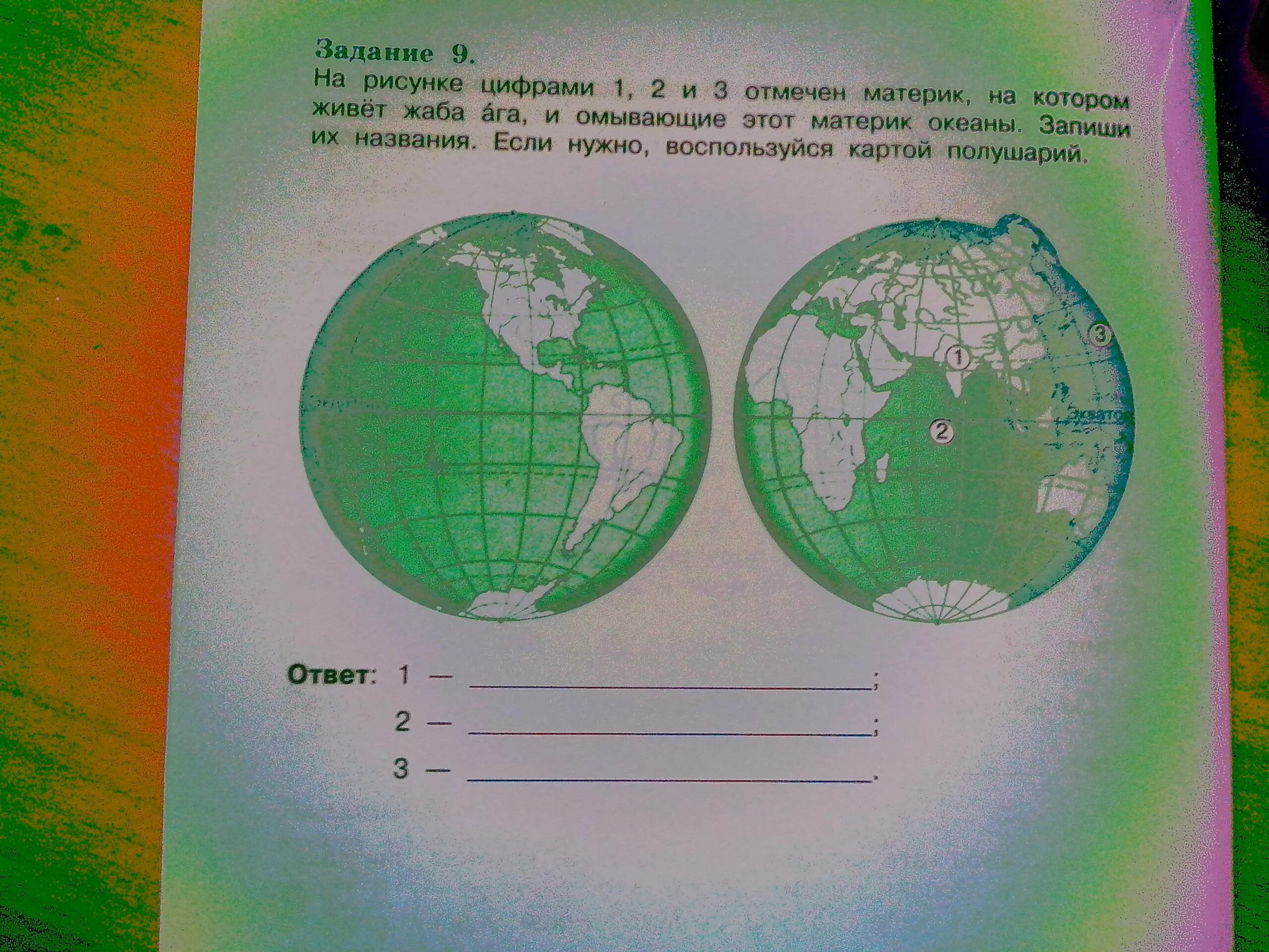 Комплексная работа жаба ага ответы все варианты. Материк на котором живет жаба ага. Три континента на которые живёт жаба ага. Материки на которых обитает жаба ага. Материк на котором живет жаба ага этот материк.