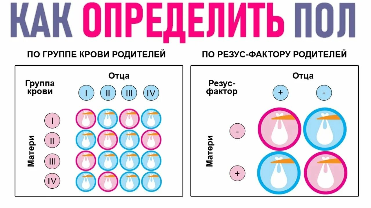 Как определить пол ребенка. Определение пола ребенка по группе крови. Как определить пол будущего ребенка УЗИ. Приметы пола будущего ребенка. Как отличить ребенка