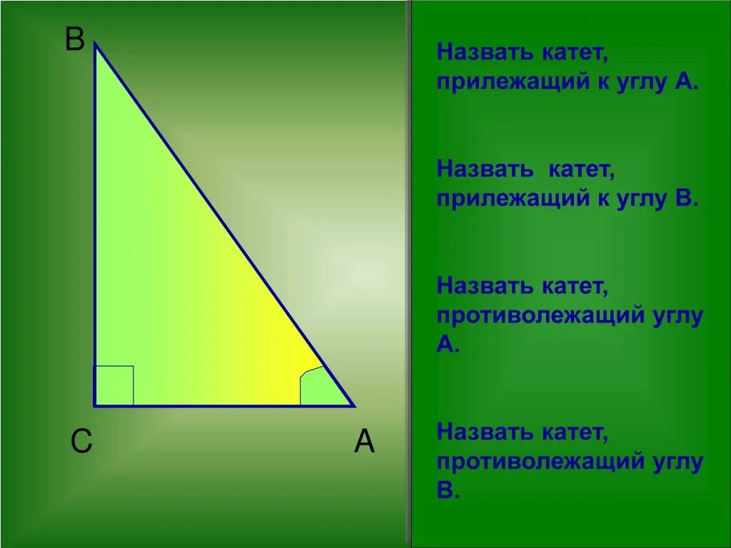 13 катет противолежащий углу. Прилежащий и противолежащий катет. Прилежащий и противо лежащий КГОД. Катет прилежащий к углу. Катет противолежащий углу.