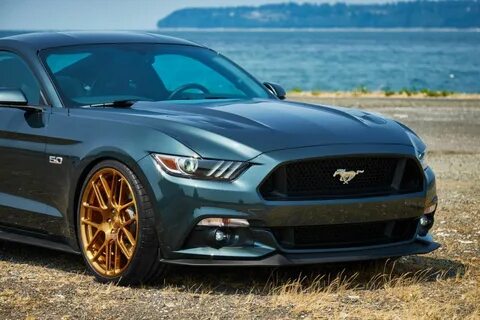 Gt premium