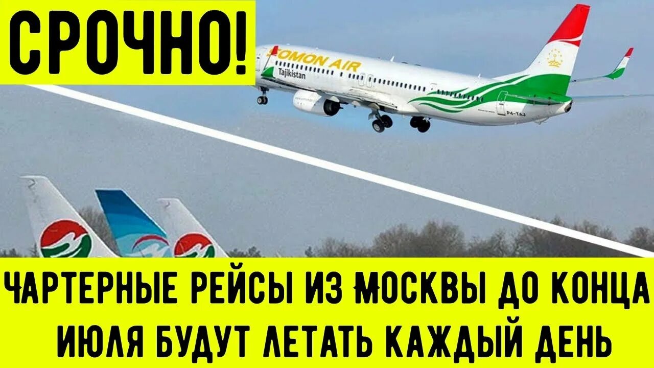 Табло аэропорт жуковский душанбе жуковский. Табло аэропорт жуковский прибытие. Домодедово аэропорт табло. Табло жуковский аэропорт. Сегодняшний рейс худжанд аэропорт жуковский.