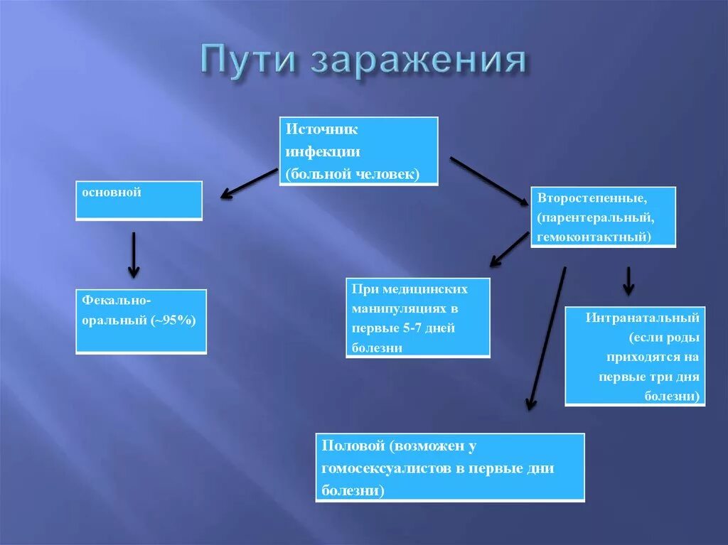 Укажите возможные способы заражения