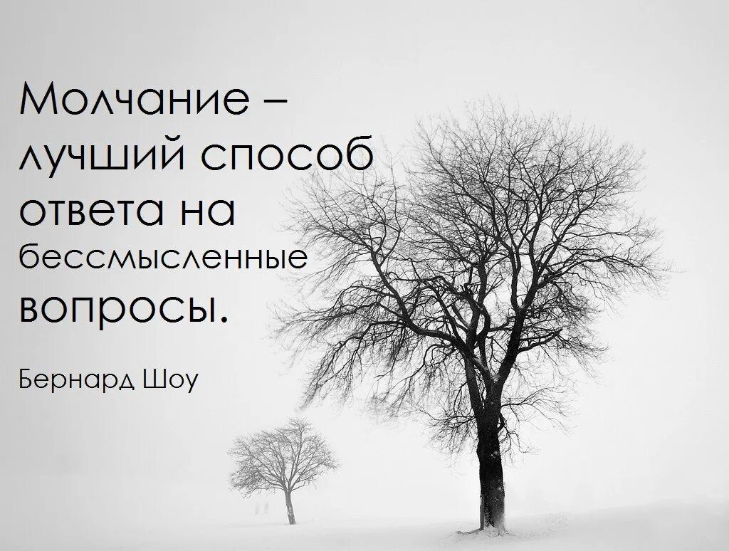 Молчание 6 букв. Молчание лучший ответ на бессмысленные вопросы. Тишина цитаты. Тишина и безмолвие. Молчание лучший способ ответа на бессмысленные.