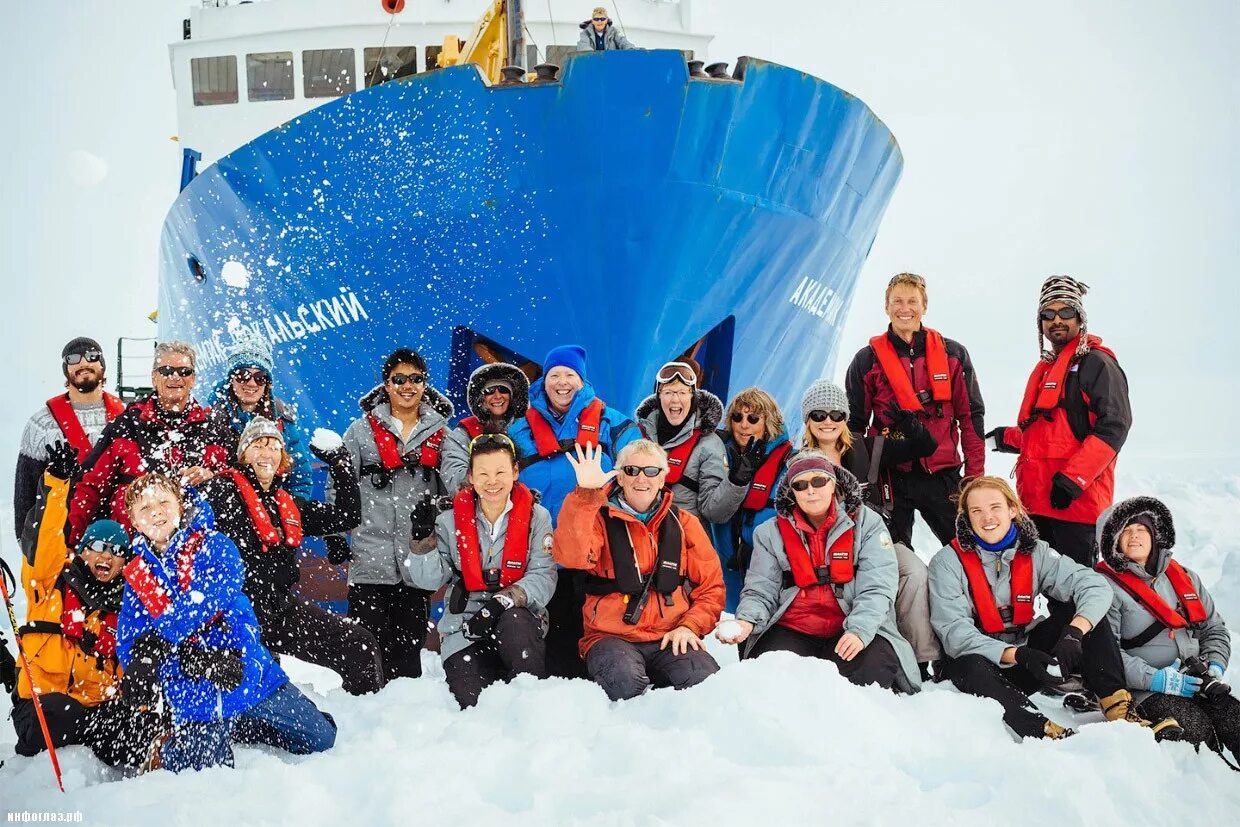 События антарктиды. Пенгуин антарктида. Антарктида научные экспедиции. Оазис ширмахера в антарктиде. События антарктиды.