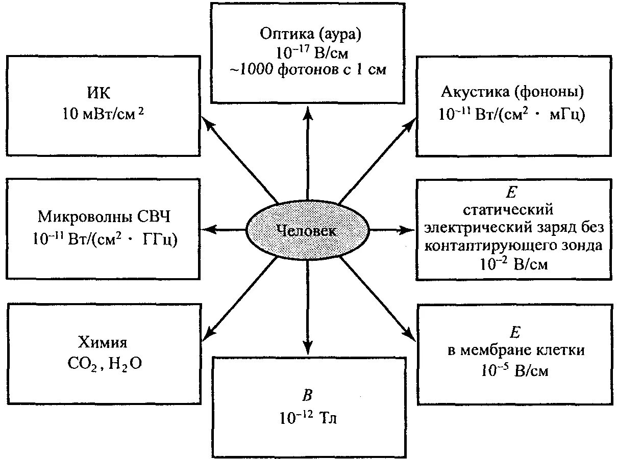 Зависит ли жизнь. Зависит ли жизнь человека от других животных покажите это на схеме.