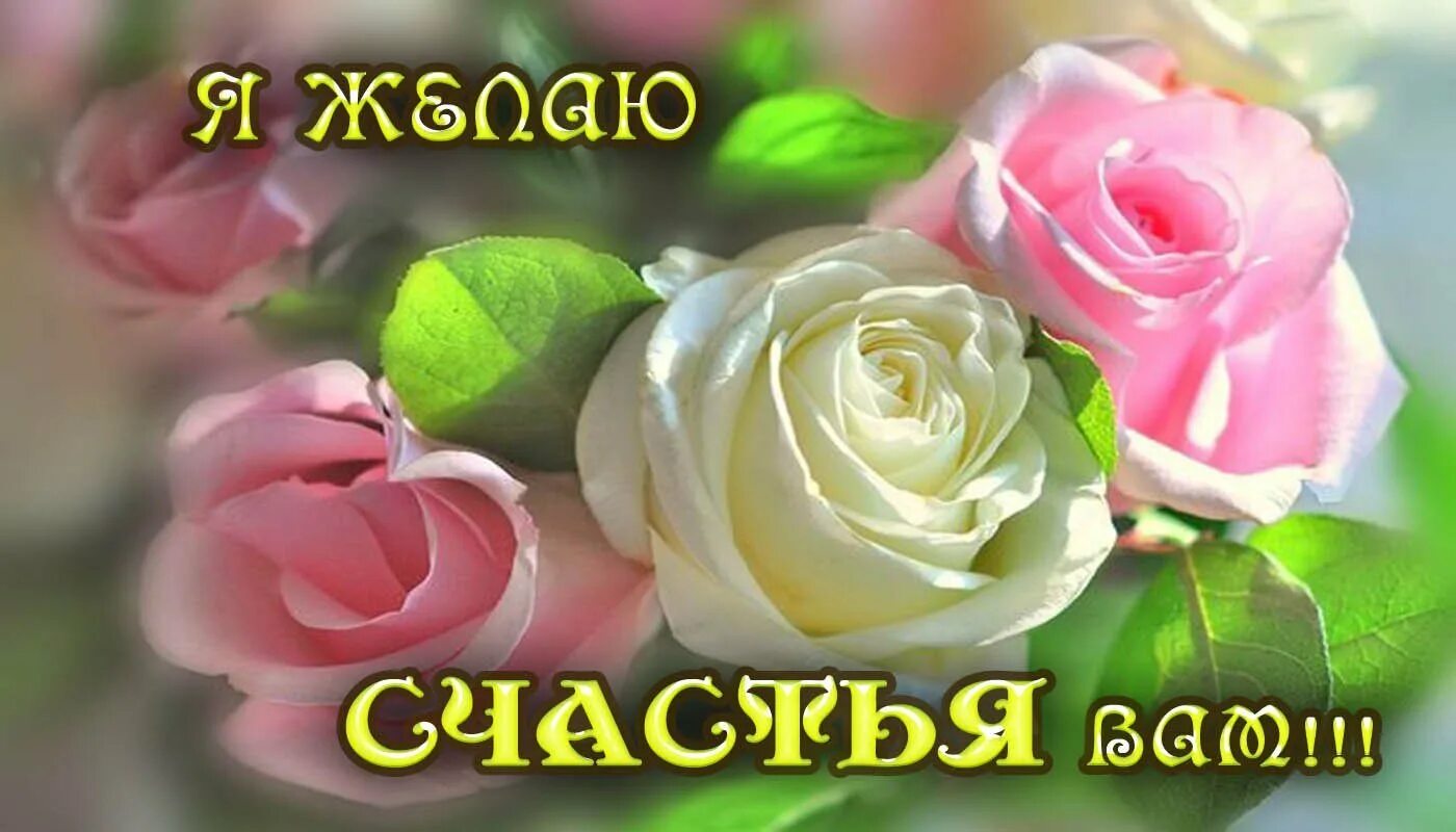 открытки будьте здоровы и счастливы. открытки будьте здоровы и счастливы. будь счастлива надпись. будьте счастливы!. будьте здоровы и счастливы.