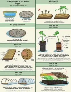 What goods were made from the plant