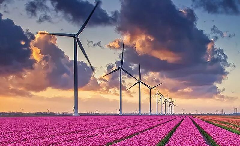 Страна низкие земли. Ветряки в Голландии. Голландия Ветряные электростанции. Нидерланды ветрогенераторы. Ветряные генераторы в Голландии.