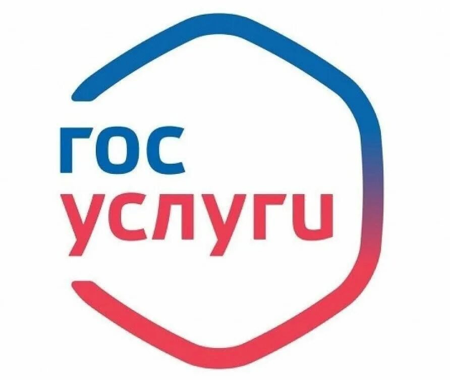 Ер госуслуги. Ер госуслуги. Портал госуслуги. Госуслуги картинка. Электронное голосование через госуслуги.