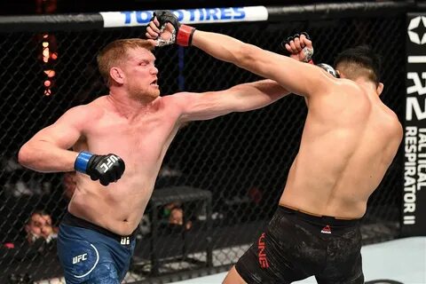 UFC Fight Night: Barboza vs Chikadze: Sam Alvey vs Wellington Turman- Preli...