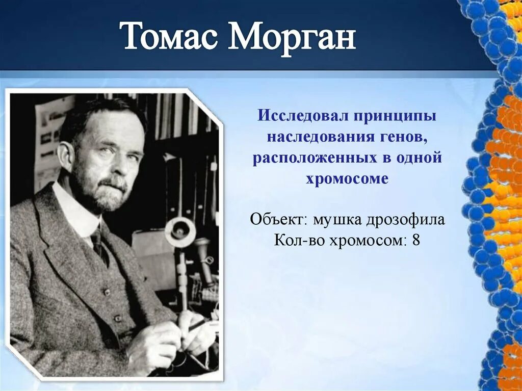 Создание хромосомной теории
