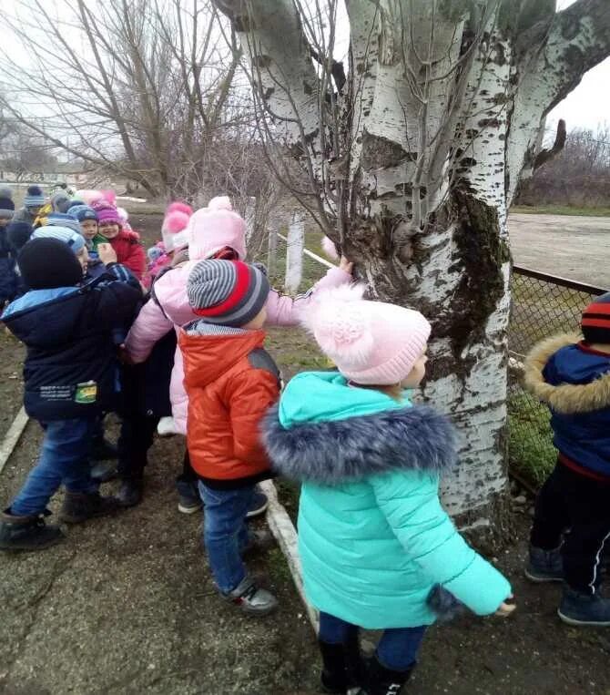 Весенняя прогулка в детском саду. Наблюдение на прогулке. Наблюдение за деревом. Наблюдения на прогулке ранней весной. Прогулка в старшей группе.
